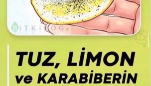 Saracoglu Tuz Karabiber Limon Kürü Faydaları Nelerdir?